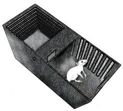 conditioned place preference - cpp